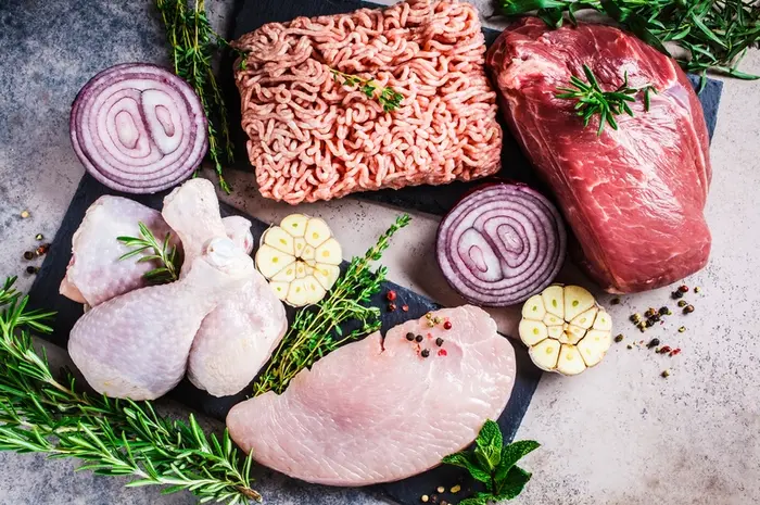 Exploring the Carnivore Diet: An Unconventional Approach to Nutrition